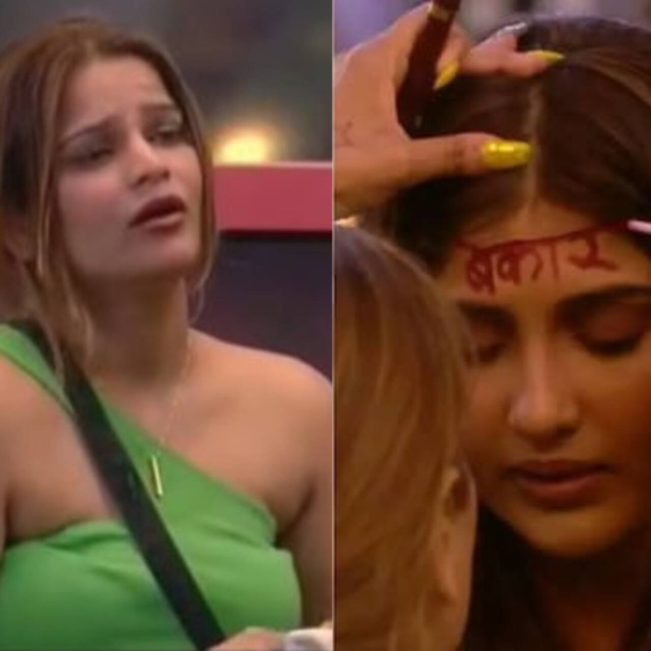 Bigg Boss 16 Archana Gautam and Nimrit Kaur Cat Fight Video Viral From