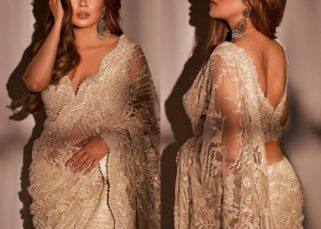 Bigg Boss 16 contestant Tina Datta looks like a bronze goddess in her latest backless, shimmery saree [View Pics]
