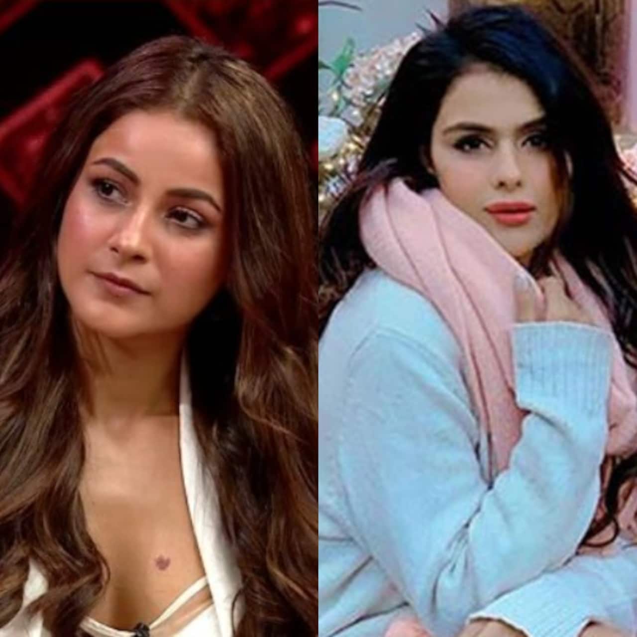 Bigg Boss 16: Priyanka Chahar Choudhary reveals about her connect with Shehnaaz Gill [Exclusive]