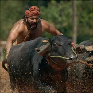 Kantara Trailer - Latest News, Photos and videos of Kantara Trailer