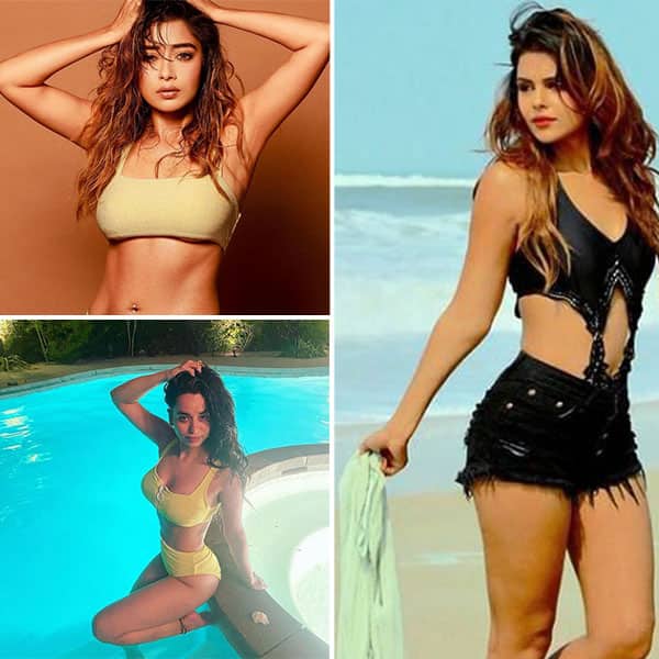 Bigg Boss 16 hotties set the screens on fire with their bold avatars