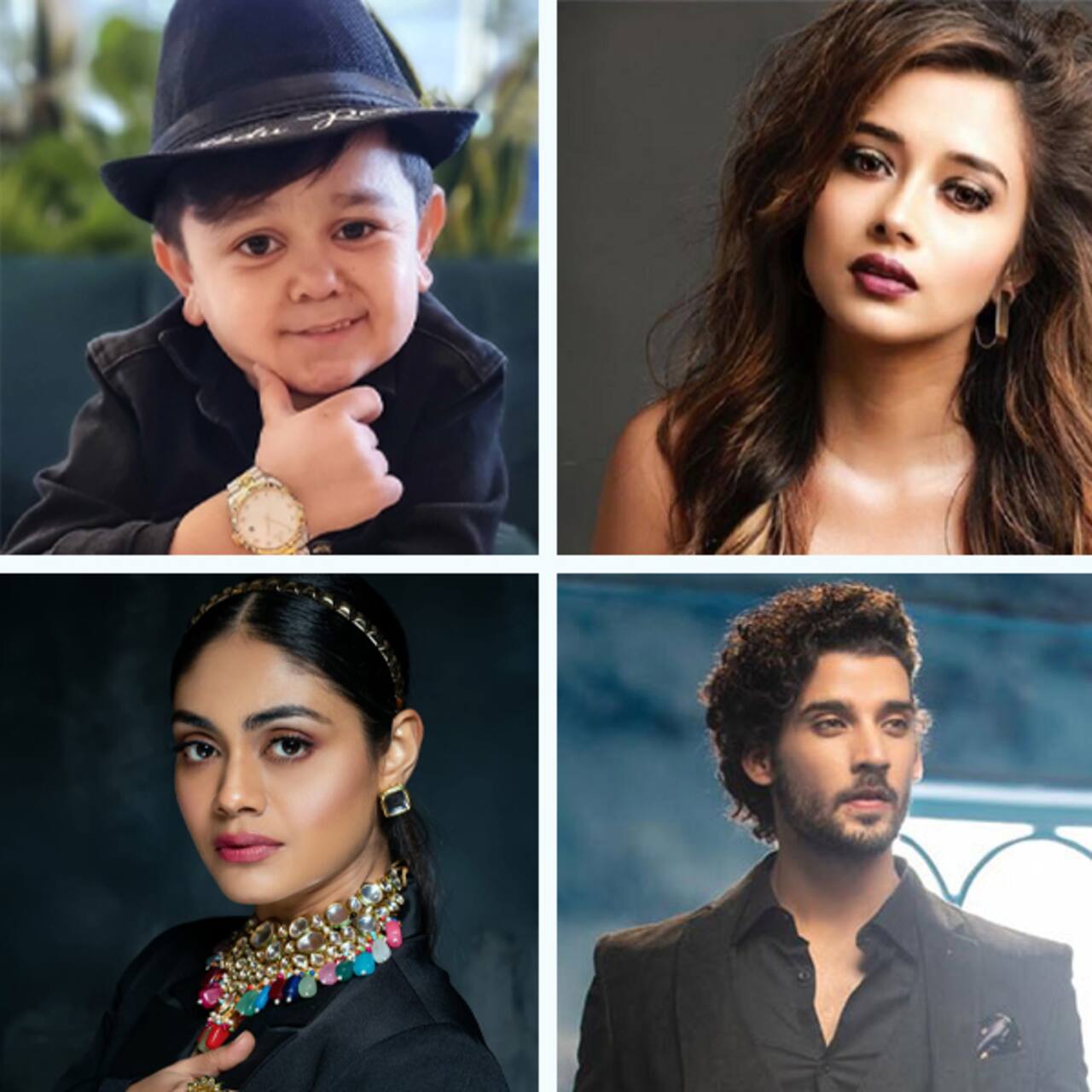 Bigg Boss 16: Education qualification of these contestants will leave you shocked