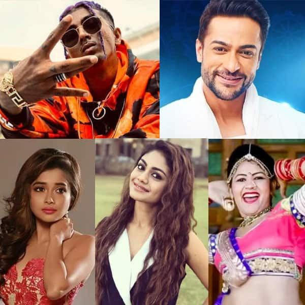 Bigg Boss 16 Elimination: MC Stan, Shalin Bhanot, Tina Dutta, Sreejita ...