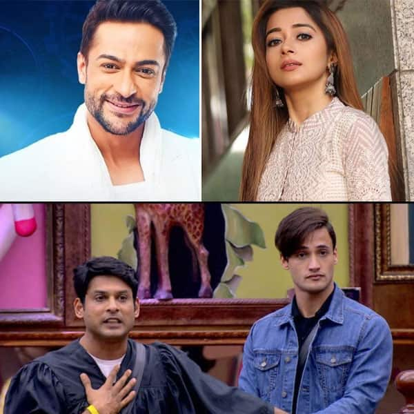 Shalin Bhanot-Tina Datta to Sidharth Shukla-Asim Riaz and more Bigg ...