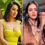 Bigg Boss 16: Priyanka Chahar Choudhary, MC Stan, Archana Gautam and others who are grabbing attention of former contestants