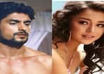 Bigg Boss 16 contestants Sumbul Touqeer-Ankit Gupta and other previous housemates who were slammed as unfit for Salman Khan's show
