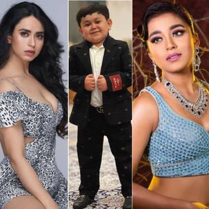 Bigg Boss 16: इतने पढ़े लिखे हैं सलमान खान के शो के कंटेस्टेंट्स, किसी ने की 10वीं पास तो कोई है डॉक्टर