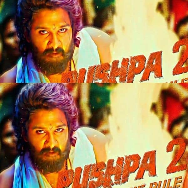 Pushpa Sequel Pushpa 2 Release Date