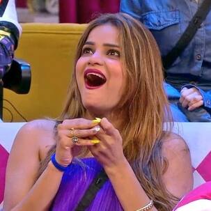 Bigg Boss 16, Day 42, Live Updates: Bigg Boss slams Priyanka Chahar Choudhary and Ankit Gupta for poing Shiv Thakare