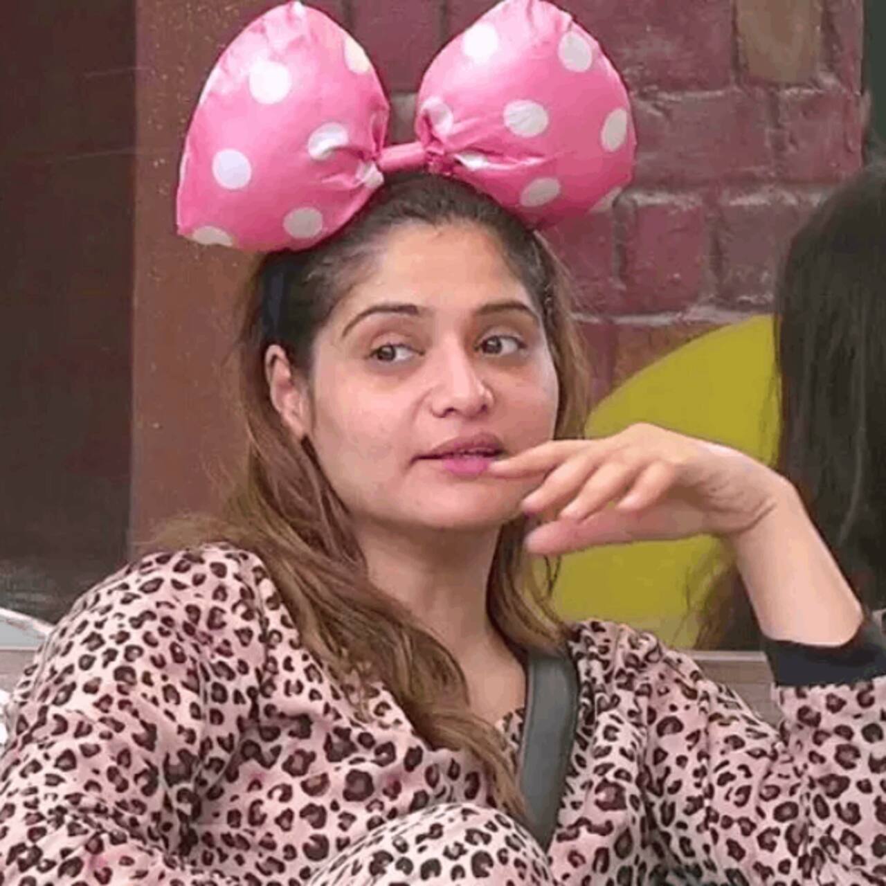 Bigg Boss 16 Sumbul Touqeer Khan, Arti Singh and more — List of