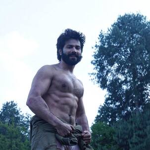 Bhediya Box Office (Early Estimate) Day 3: वरुण की 'भेड़िया' ने तीसरे दिन पकड़ी रफ्तार, कूटे इतने करोड़ रुपये