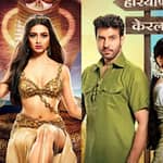 Naagin 6, Swaran Ghar and other TV shows to go off air by the end of 2022 due to low TRPs? [View Shocking List]