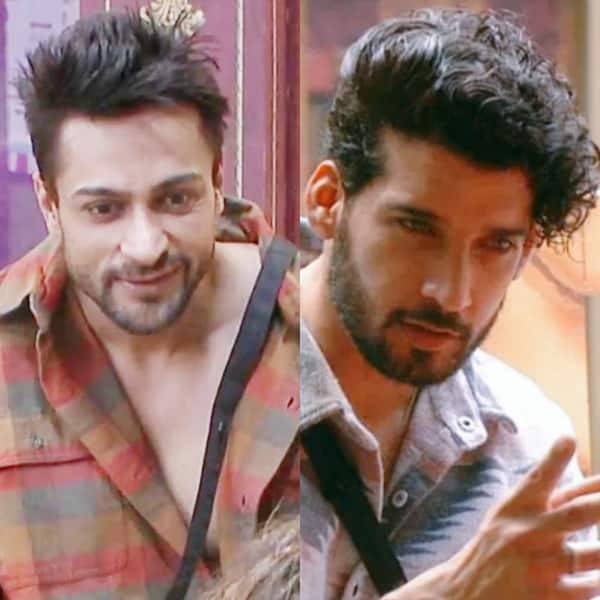 Bigg Boss 16: Gautam Vig Slams Shalin Bhanot For Sumbul Touqeer's ...