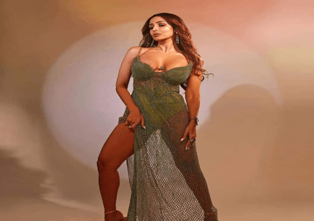 Aap Jaisa Koi song: Malaika Arora is hotness personified in sheer shimmery  gown; BTS video will leave you drooling [WATCH]