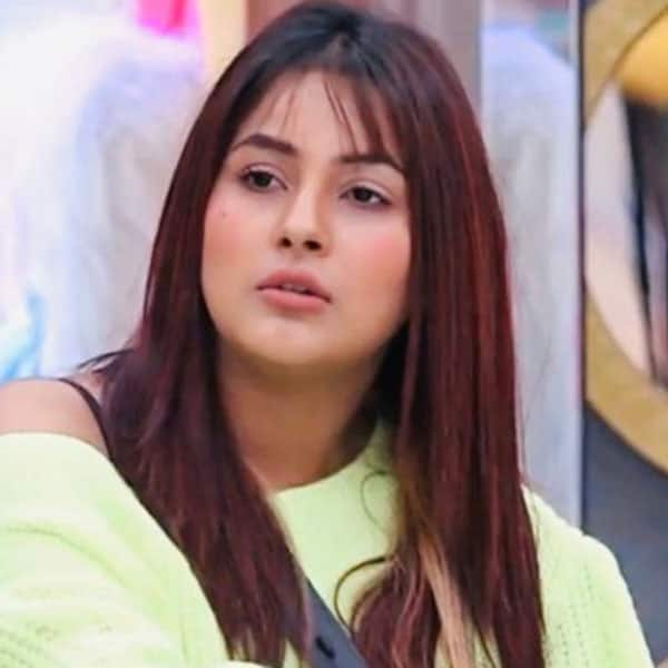 Bigg Boss 16: Sumbul Touqeer To Shehnaaz Gill; These Actresses Faced ...