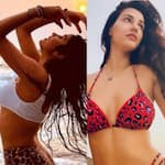 Disha Patani to Janhvi Kapoor: Bollywood hotties set the screens on fire with their animal-print swimsuits