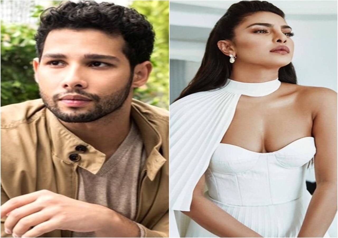 Trending Entertainment News Today: Siddhant Chaturvedi opens up on dating  rumours with Navya Naveli Nanda; REAL reason why Priyanka Chopra is in  India and more