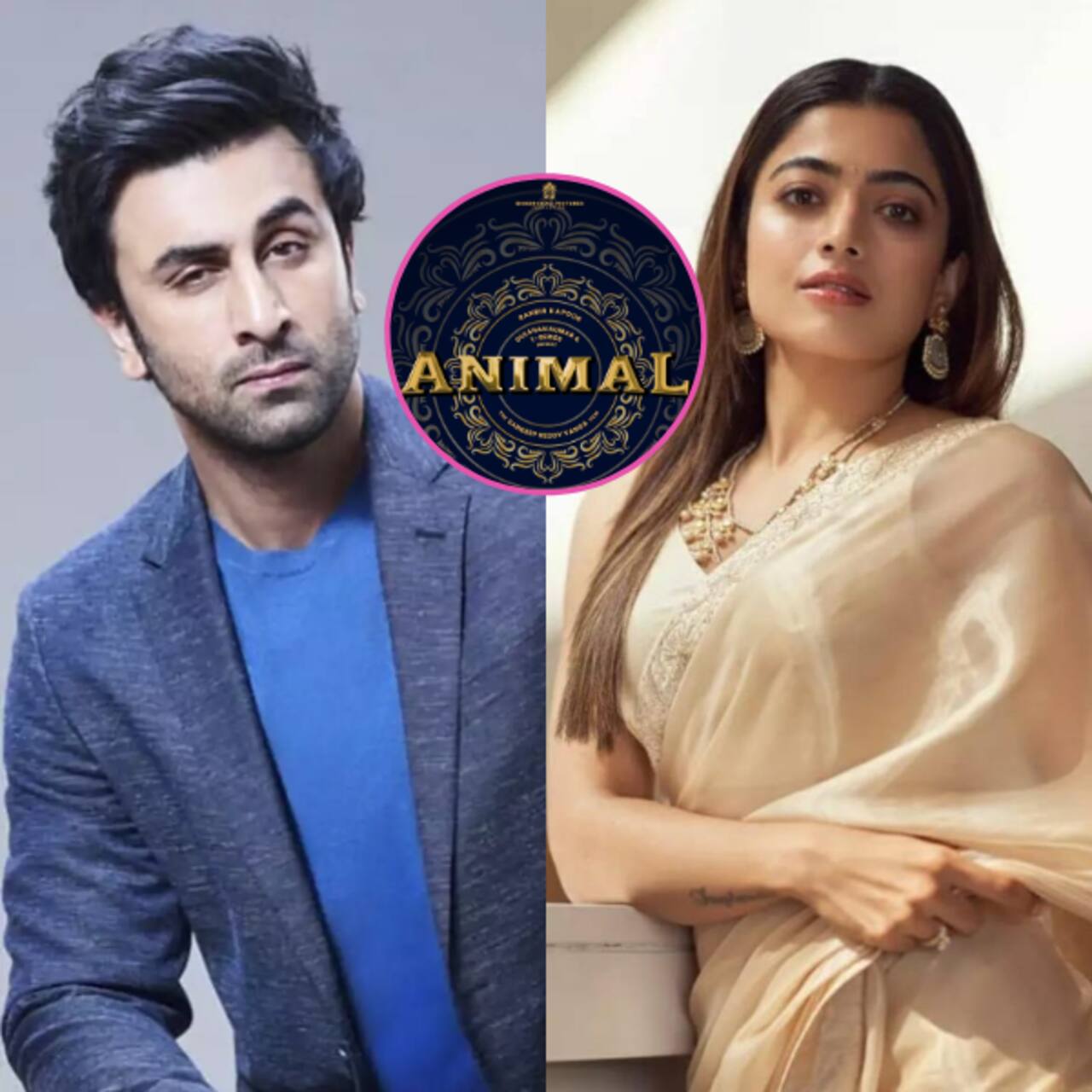 Animal: Makers of Ranbir Kapoor-Rashmika Mandana starrer have a New Year's Eve gift for fans; leave netizens excited
