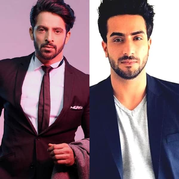 Bigg Boss 16 Wild Card Vikas Manaktala, Vishal Aditya Singh, Rajiv ...