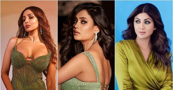 Malaika Arora, Shweta Tiwari, Shilpa Shetty and more Bollywood actresses who are ageing in reserve