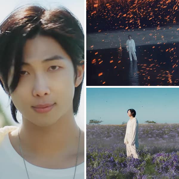 BTS TRADUÇÕES 🤍 on X: 🎼  Tradução de Wild Flower (with youjeen), de  RM. (2/2) #WILDFLOWER #IndigoByRM  / X