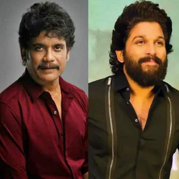 Allu Arjun To Akkineni Nagarjuna: South Indian Actors Who Own Lavish ...