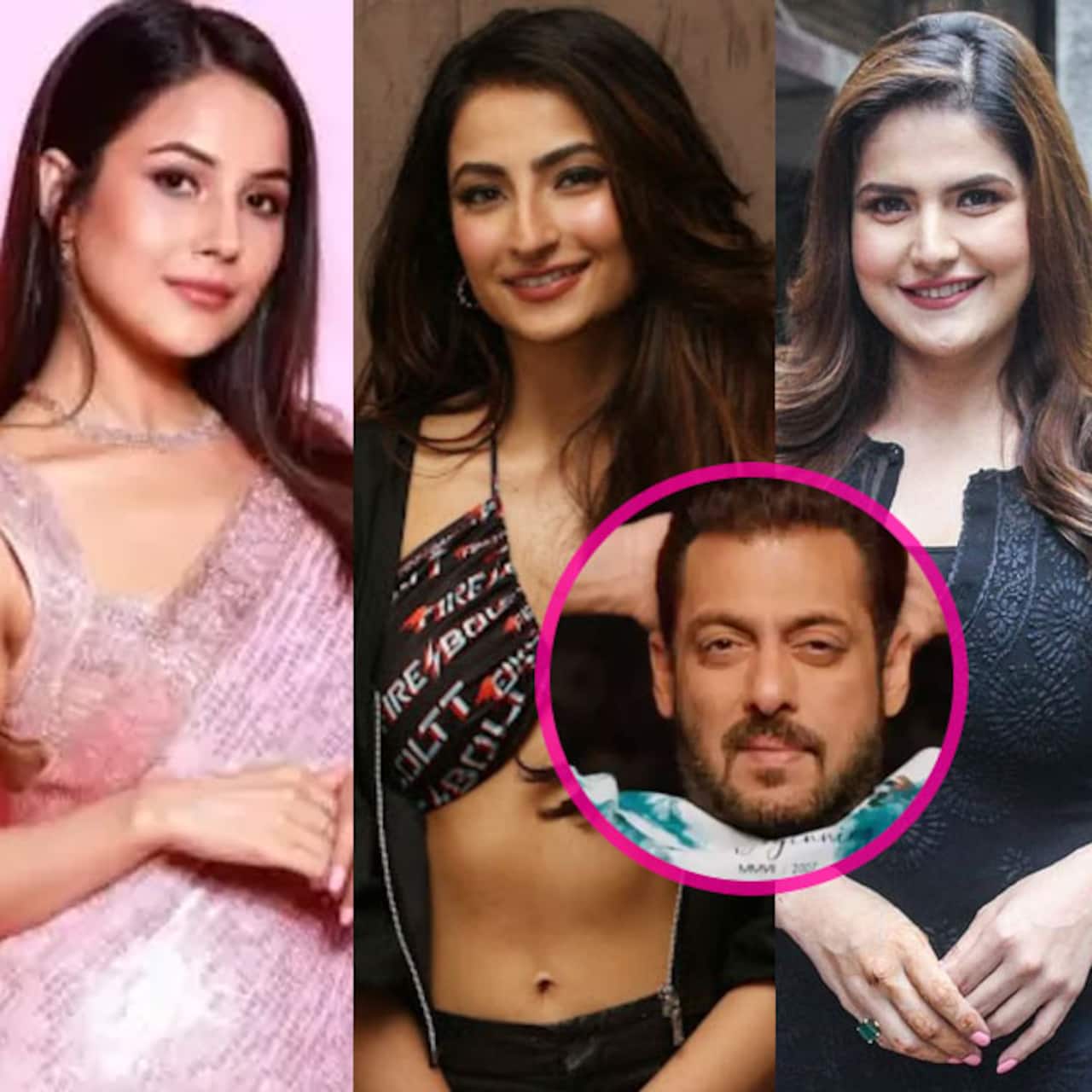 Salman Khan birthday special: Shehnaaz Gill, Palak Tiwari, Zarine Khan and  more; Tiger 3 star gave these celebs the perfect launchpad