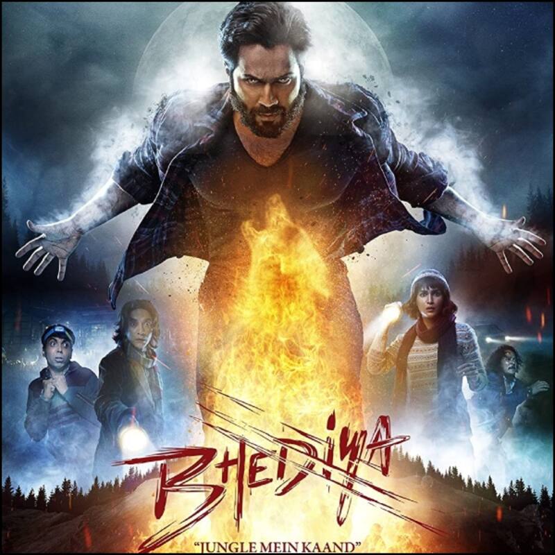 Bhediya Movie Box Office Collection Day 17: बॉक्स ऑफिस पर 'भेड़िया' का बुरा हाल, रविवार को चंद करोड़ में सिमटी कमाई