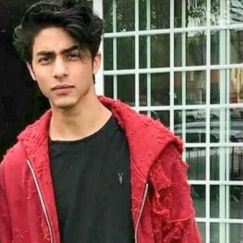 Aryan Khan भारत में लॉन्च करेंगे खुद का वोदका ब्रांड, इंटरव्यू में बोले- 'जहां अवसर है वहां बिजनेस...'