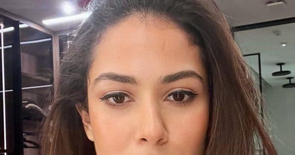 Mira Rajput confuses netizens with her ‘no makeup’ selfie; people say, ‘That is not natural skin at all’