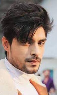 Bigg Boss 16 contestants who have landed big projects due to Salman Khan show