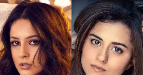 Shehnaaz Gill, Ridhi Dogra and more TV stars who are all set to make Bollywood debuts in 2023