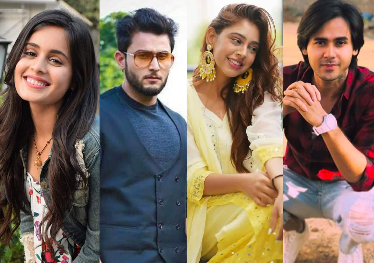 Bade Achhe Lagte Hain 2: Rhea Sharma-Leenesh Mattoo to join Niti Taylor ...