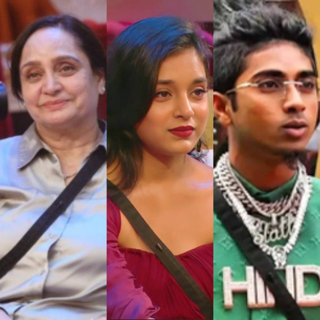 Bigg Boss 16: Shalin Bhanot's mom plays peace-maker; sorts out issues between Sumbul Touqeer and MC Stan [Exclusive]