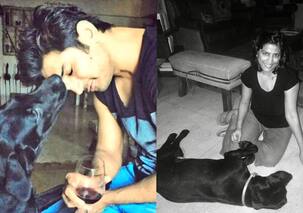 Sushant Singh Rajput's dog Fudge dies just days before actor's birth anniversary; sister Priyanka Singh says, 'Will follow soon'