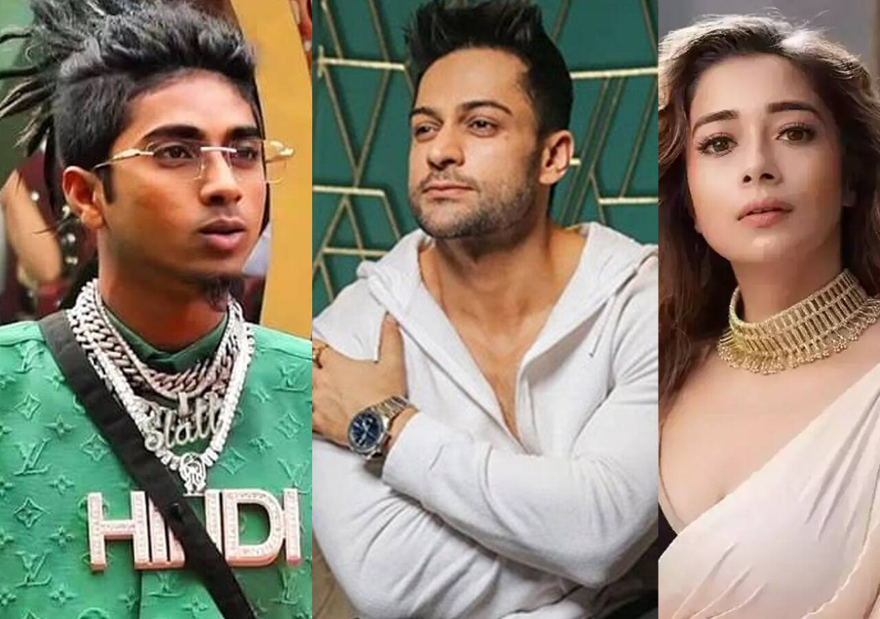 Bigg Boss 16: Tina Datta sided with MC Stan in his fight with Shalin Bhanot