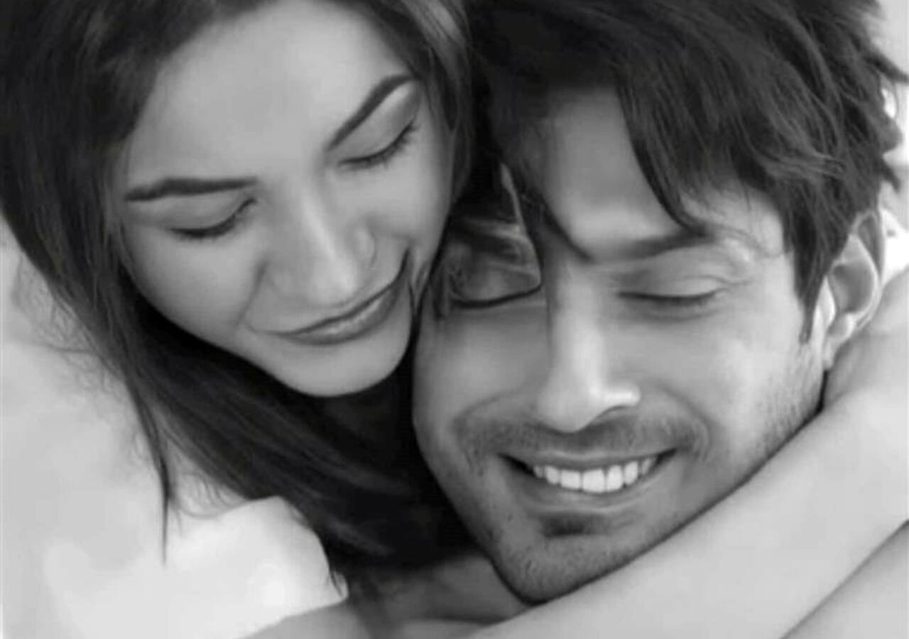 Shehnaaz Gill and Sidharth Shukla's much in love picture