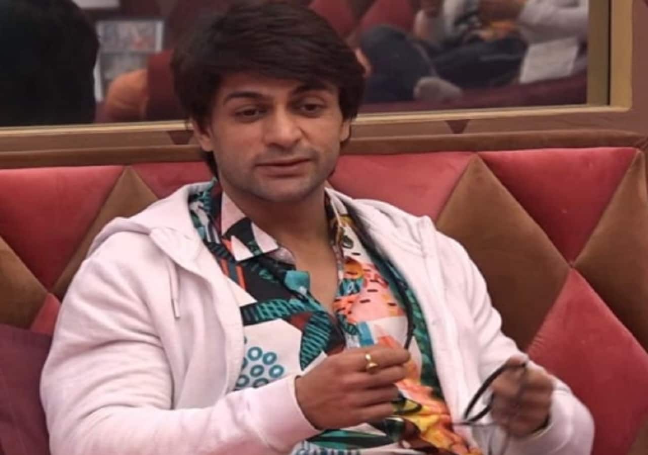 Shalin Bhanot managed to shine and fall at the same time in the Bigg Boas 16 house