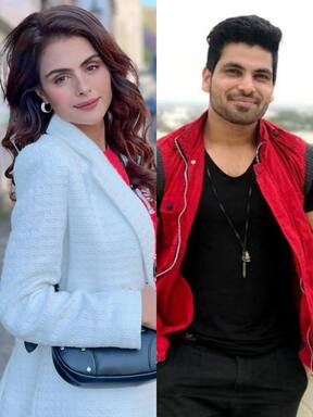 बिग बॉस 16 के 13वें हफ्ते में चमके ये कंटेस्टेंट