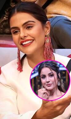 'बिग बॉस' के बाद इन सितारों को मिला बॉलीवुड में ब्रेक