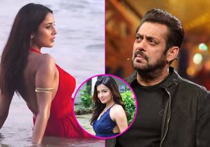 Today Tv News 14 January: 'अनुपमा' में होगी इस हसीना की एंट्री, अब सीधा 'बिग बॉस 16' फिनाले पर दिखेंगे सलमान!