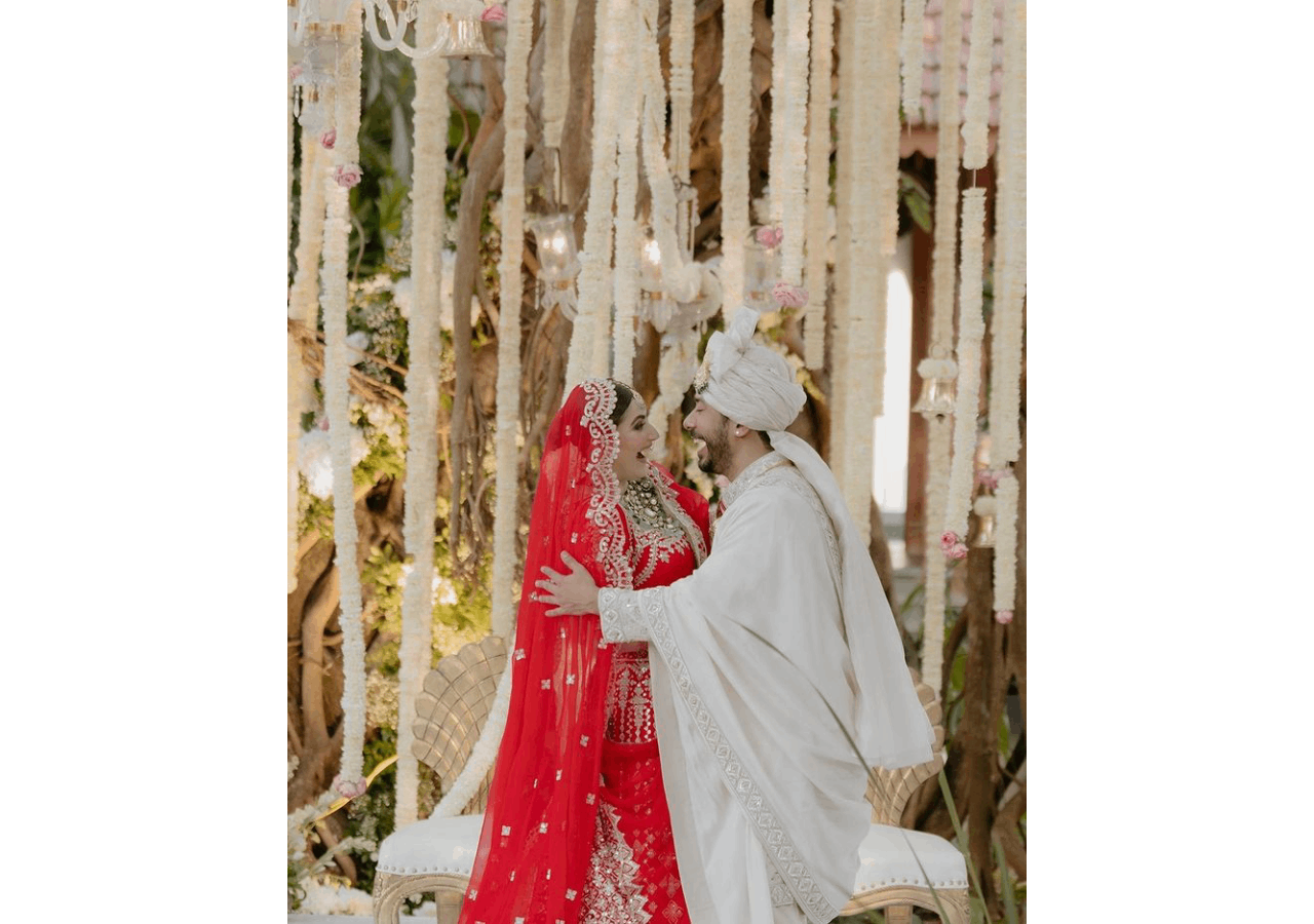 Abhishek Pathak and Shivaleeka Oberoi's wedding pictures are GORGEOUS