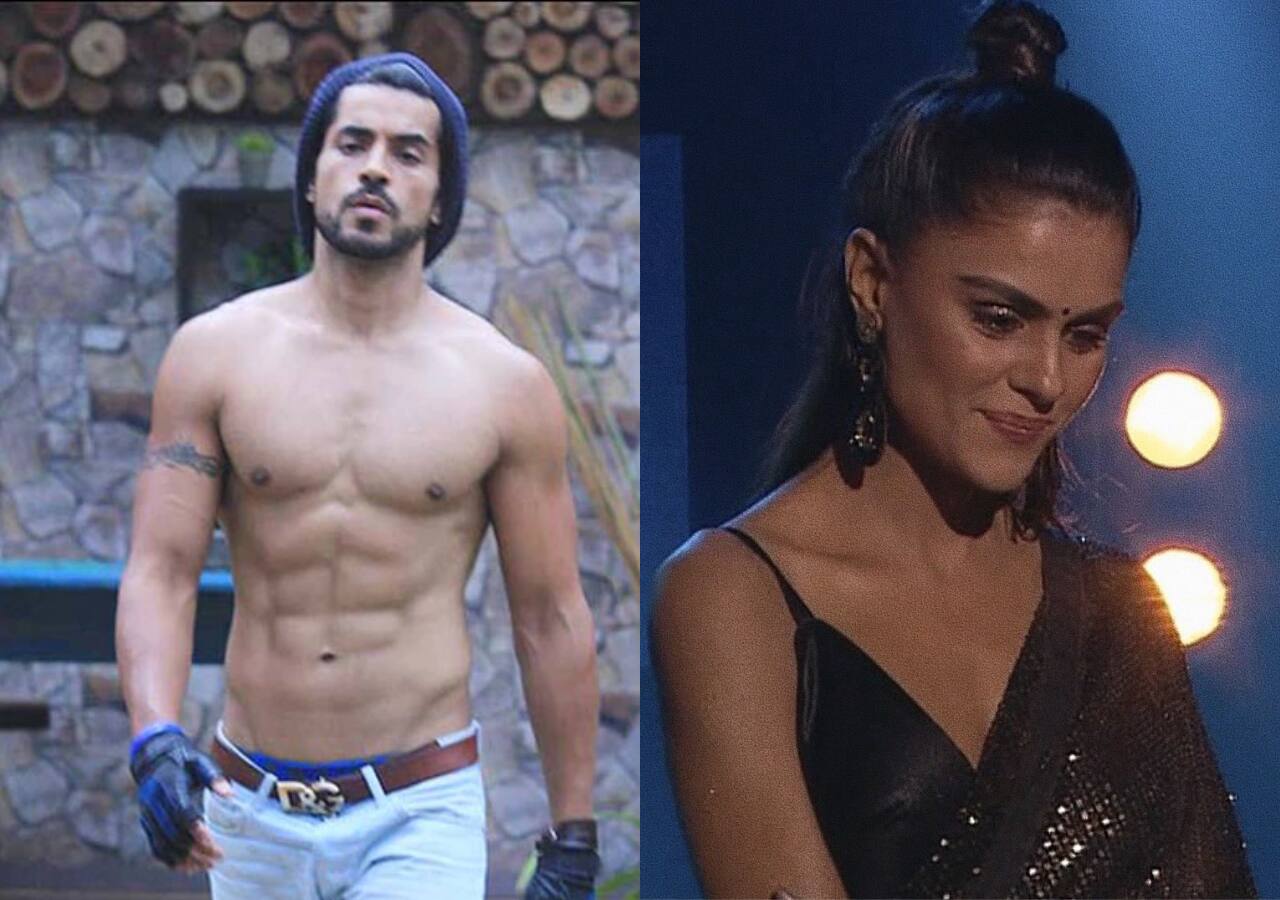 Bigg Boss 16 Winner: Gautam Gulati thinks Priyanka Chahar Choudhary will lift the trophy; Udaariyaan beauty's journey video leaves fans with goosebumps [Watch]