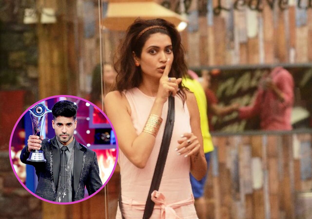 Bigg Boss 16 Grand Finale Pratik Sehajpal, Asim Riaz and more