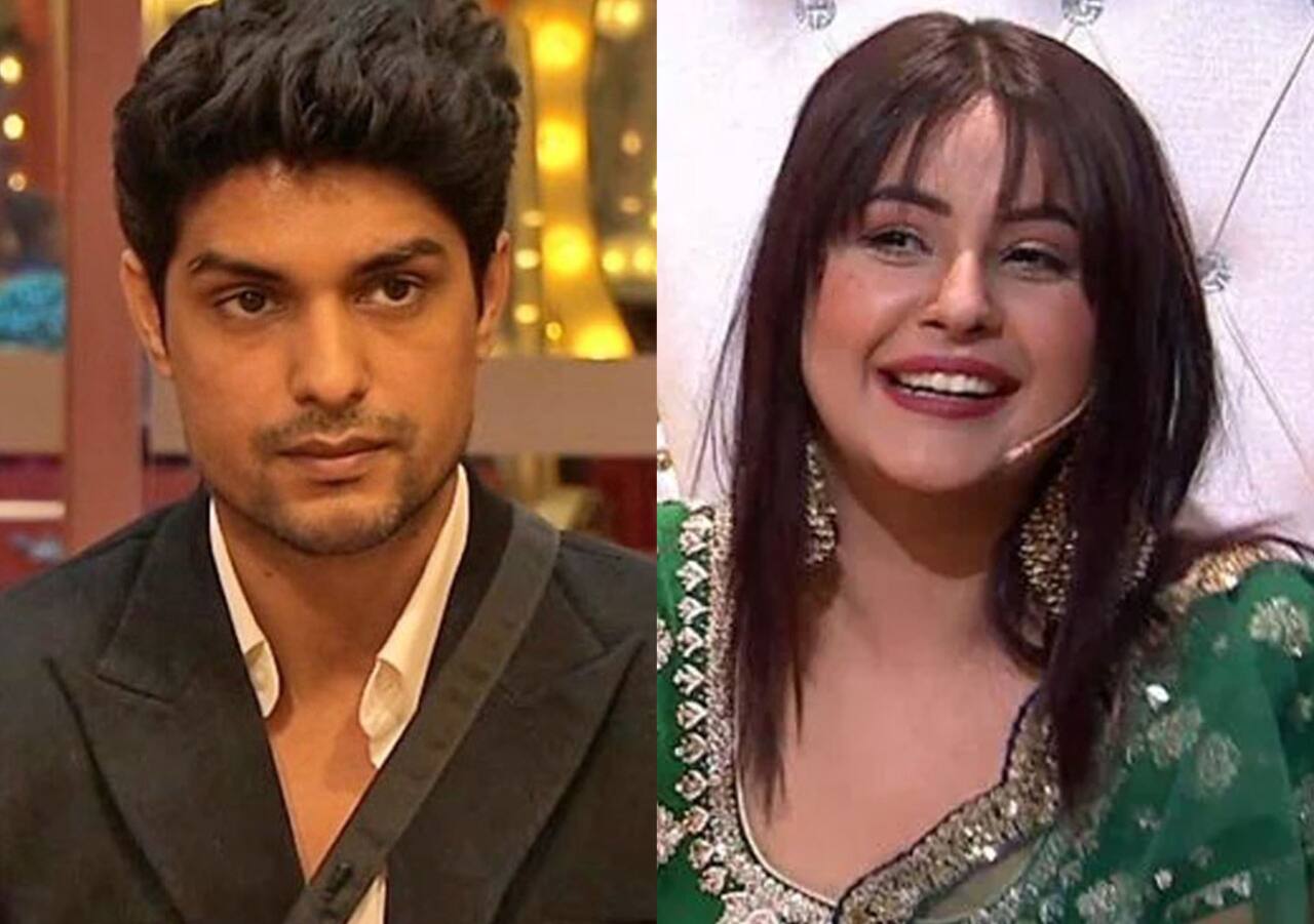 Bigg Boss contestants who gained a lot of fame