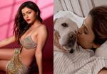 Jennifer Winget, Rubina Dilaik, Abdu Rozik; here is a look at TV stars who made us sit up and take notice with their Instagram posts