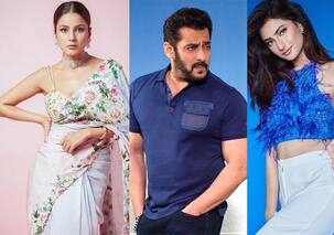 Before Kisi Ka Bhai Kisi Ki Jaan, Salman Khan gave a golden chance in films to these actresses