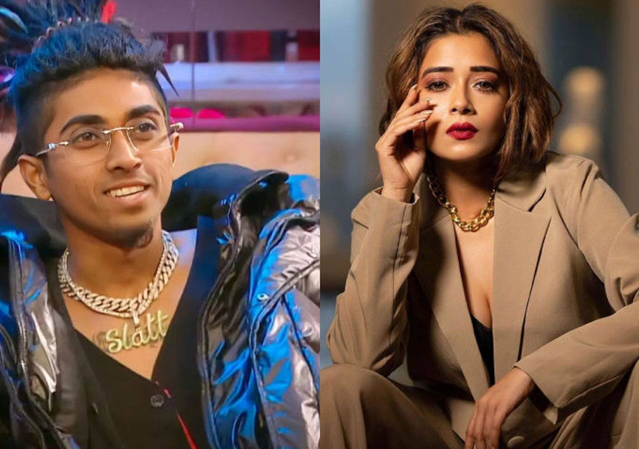 Bigg Boss 16: Tina Datta express disappointment over MC Stan’s win; says he was sleeping two and half months in the show [Watch video]