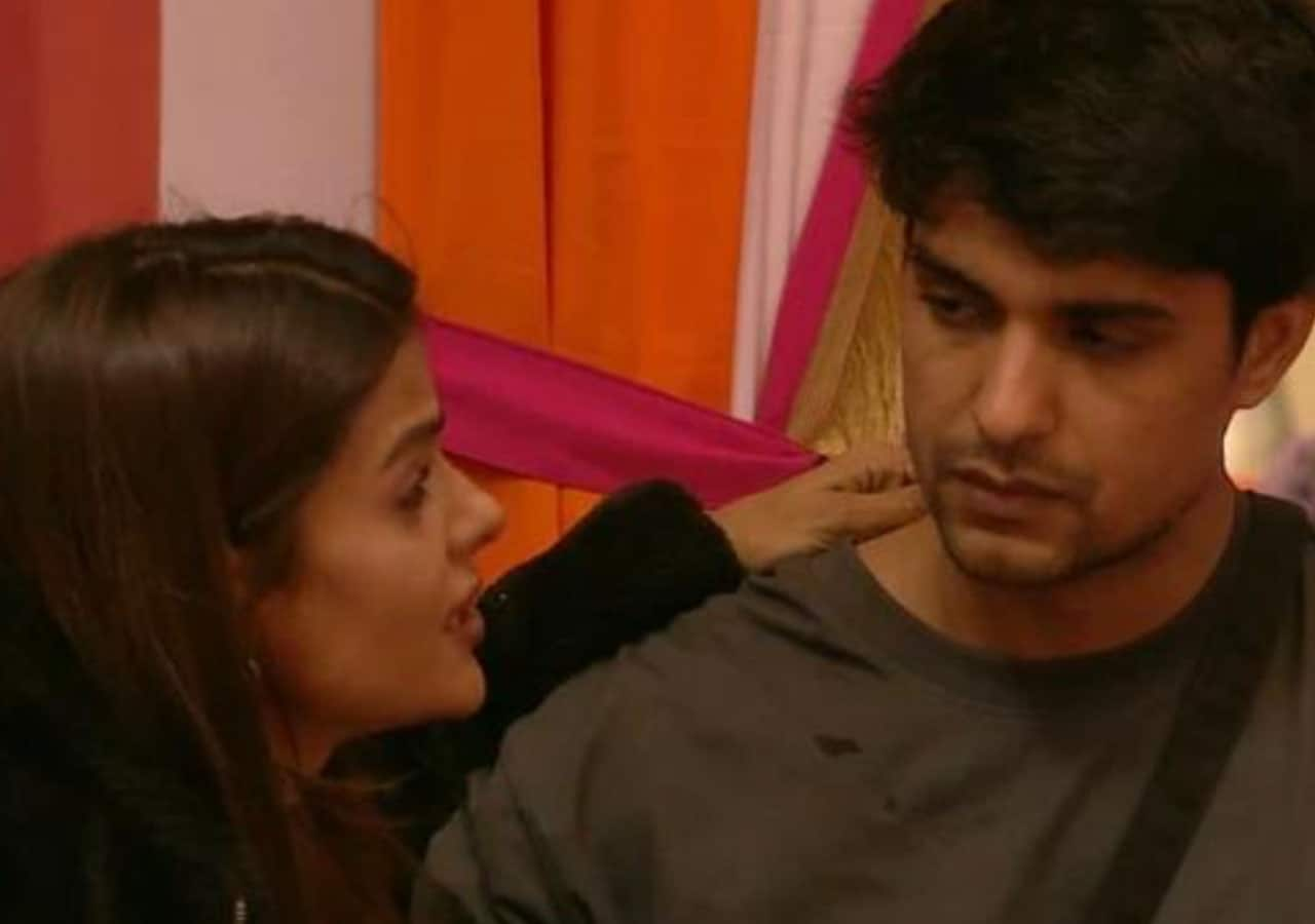 Bigg Boss 16: Priyanka Chahar Choudhary And Ankit Gupta's Relationship ...