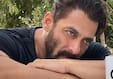 bollywoodlife.com photo